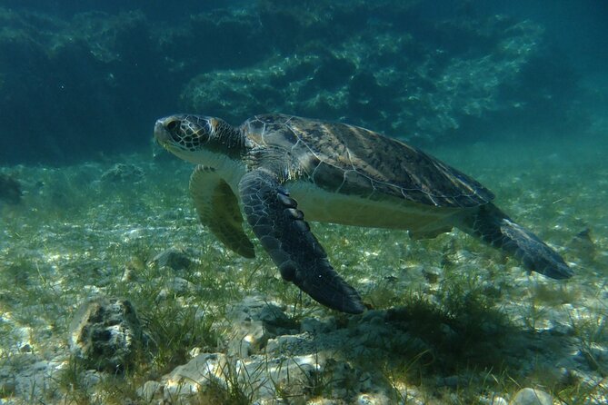 SCUBA DIVING first time experience - Photos and videos can preserve the moment