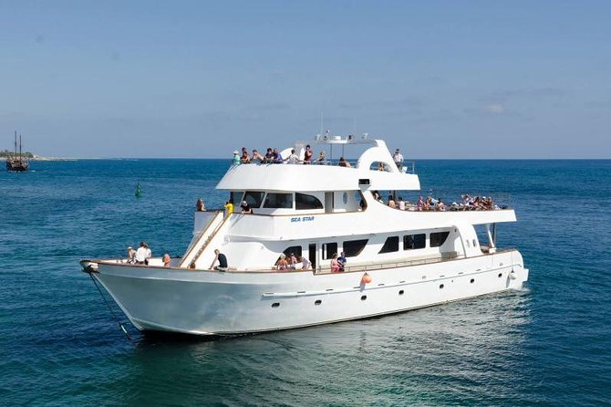 Sea Star Coral Express Cruise from Paphos - Key points to know before booking