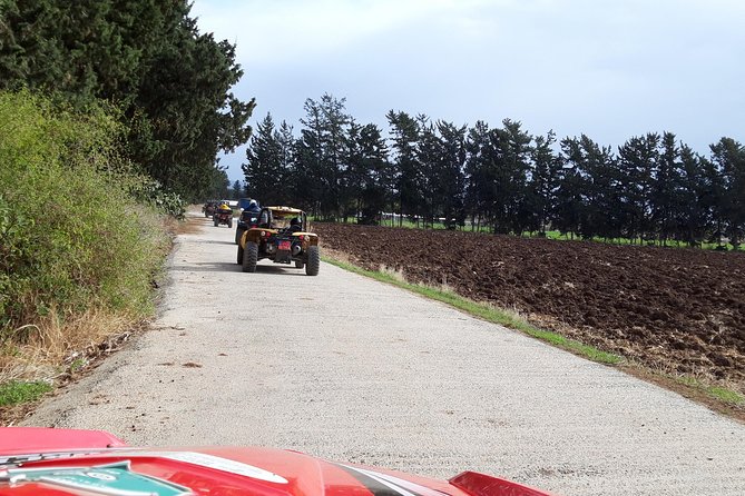 Self drive Buggy Safari at Aphrodite's Rock in Paphos - Booking value and cancellation advice
