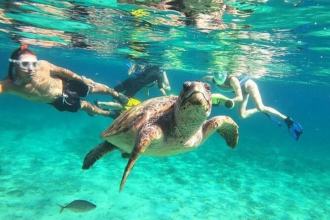 snorkeling ,Turtle Watching in Cyprus - Starting at the Tombs of the Kings at 9:00 a.m.