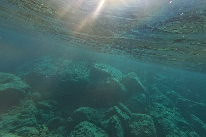 snorkeling ,Turtle Watching in Cyprus - How much time you spend in the water
