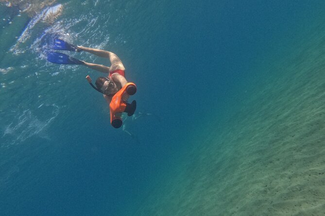 snorkeling ,Turtle Watching in Cyprus - Guides who make beginners feel safe