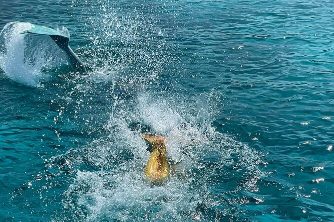 The Mermaid Cruise by Medusa Cruises – 2:30-Hour Family Adventure - The main event at Cape Greco Blue Lagoon