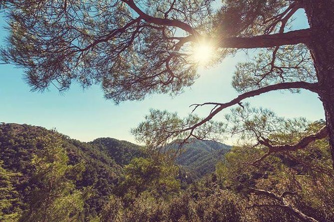Troodos Jeep Safari from Protaras,Ayia napa & Larnaca - The guides can shape the whole day
