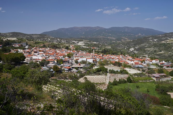 Troodos Mountains 4x4 Tour with Meze Lunch from Larnaca - Mesa Potamos Forest: The Best Part for Walkers
