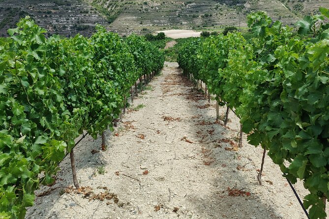 Troodos Mountains Grape Escape: All Inclusive Food & Wine Tour - The surprise stop and the value of local access