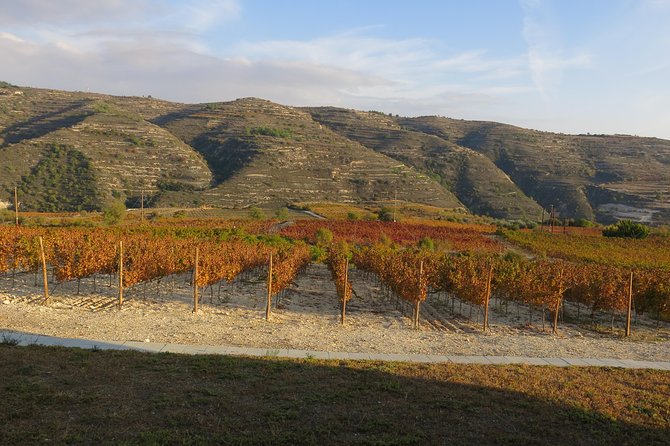 Troodos Mountains Grape Escape: All Inclusive Food & Wine Tour - Is $142.71 a fair price?