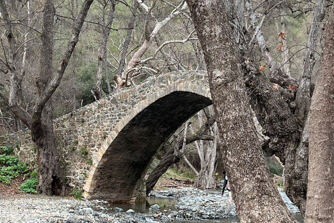 Troodos Mountains Jeep Tour with Wine Tasting - The best parts of the day