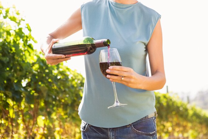 Troodos Mountains Vino Venture: All Inclusive Full Day Wine Tour - Key points before you book