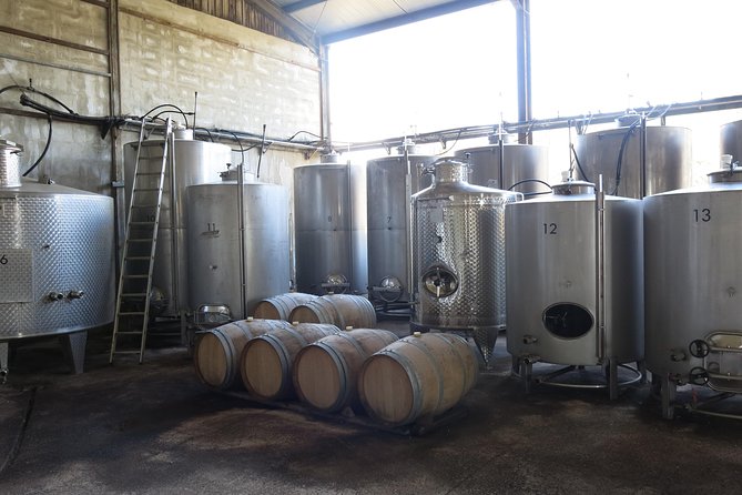 Troodos Mountains Vino Venture: All Inclusive Full Day Wine Tour - Why this Paphos wine tour works so well