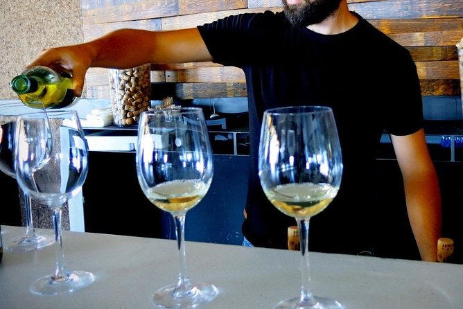 Troodos Mountains Vino Venture: All Inclusive Full Day Wine Tour - The final winery and changing seasonal routes