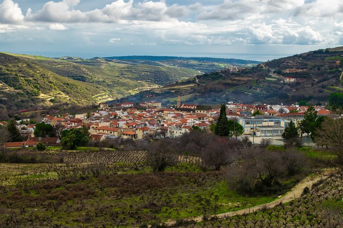 Troodos Mountains Vino Venture: All Inclusive Full Day Wine Tour - Timing, comfort, and the return to Paphos