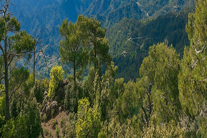 Troodos Peaks & Mountain Flavors Day Tour from Paphos - Kykkos Monastery, the Troodos highlight