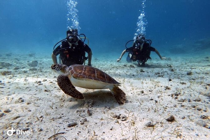Try a Scuba Diving Experience - Pickup, timing, and what to plan