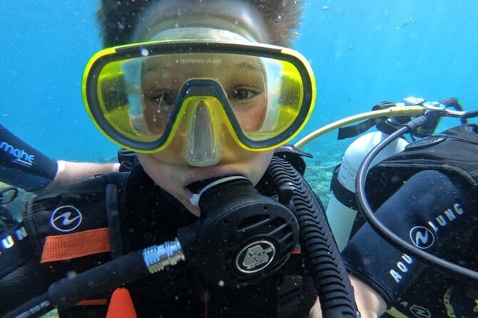 Try a Scuba Diving Experience - The short trip to the bay