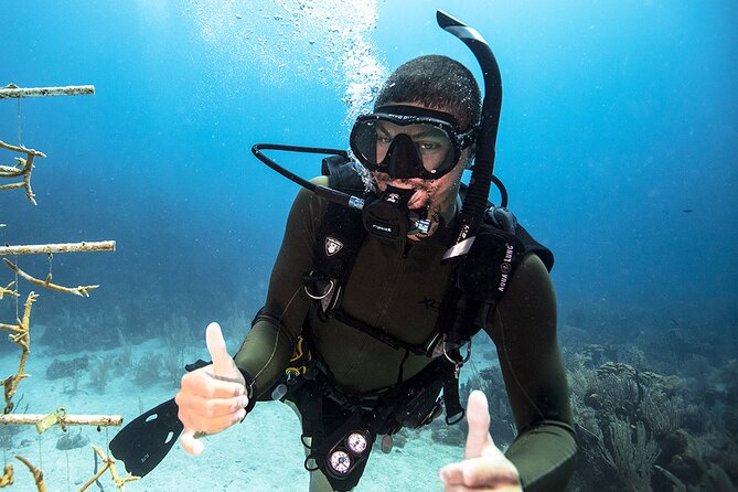 Try Dive - Scuba Diving with a private guide, incl. photos - Key points about this Green Bay scuba session