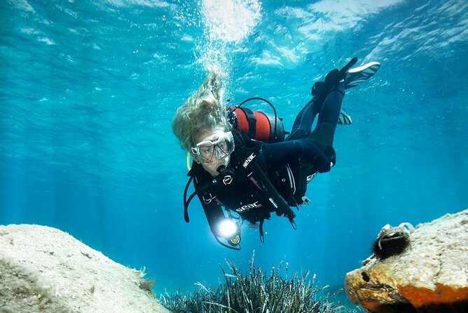 Try Dive - Scuba Diving with a private guide, incl. photos - Fish, figures, turtles, and the luck factor