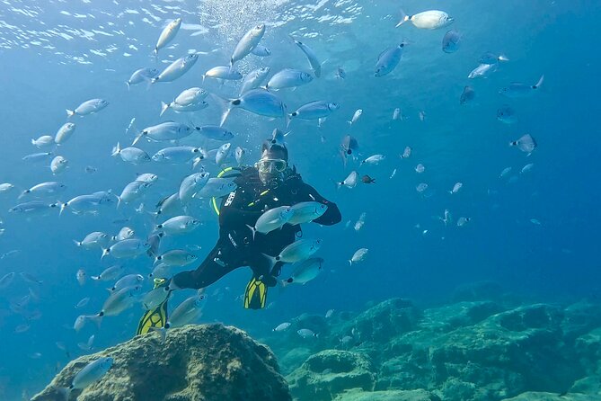 Try Dive - Scuba Diving with a private guide, incl. photos - The 9:00 am start and pickup details