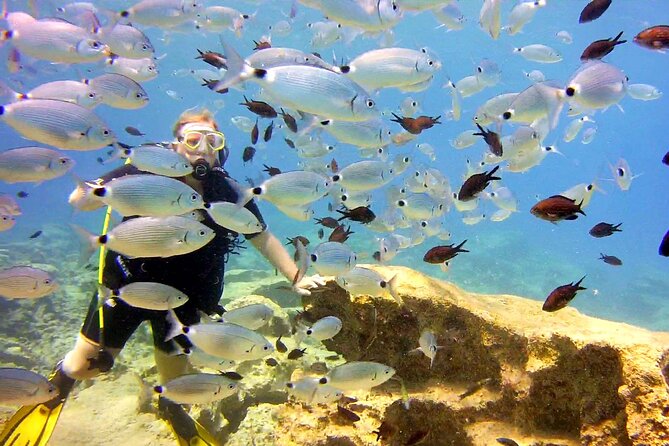 Try Dive - Scuba Diving with a private guide, incl. photos - Is $150.44 a fair price?