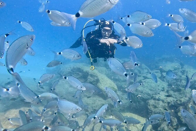 Try Dive - Scuba Diving with a private guide, incl. photos - Who should book this activity?