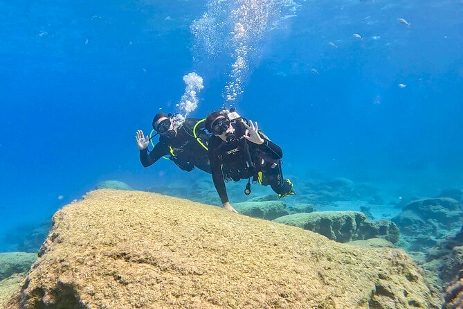 Try Dive - Scuba Diving with a private guide, incl. photos - Why Green Bay suits a first underwater attempt