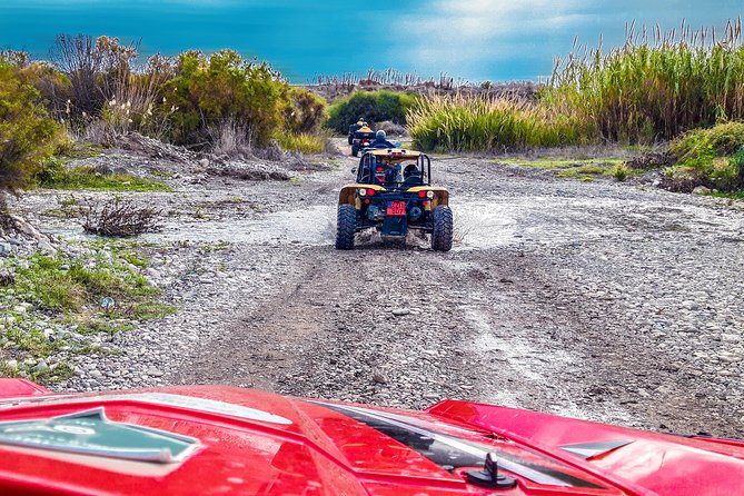 Village & Mountain Buggy Safari in Paphos - Quads, Buggies, and Who Will Enjoy This
