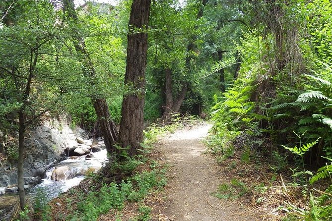 Walk on Artemis trail and in Old Kakopetria - Walking the 8-kilometer Artemis Trail