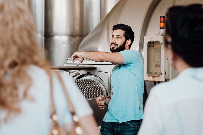 Wine tasting and winery tour at Fikardos Winery - Why the group limit of 10 matters