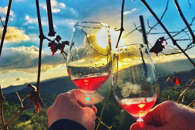 Wine Tasting and Winery Tour in Lemona Village, Paphos - Reaching Tsangarides Winery in Lemona
