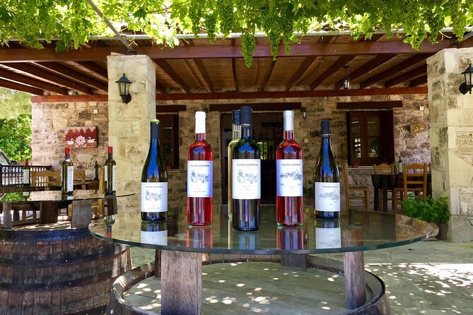 Wine Tasting and Winery Tour in Lemona Village, Paphos - What the wines tell you about Cyprus