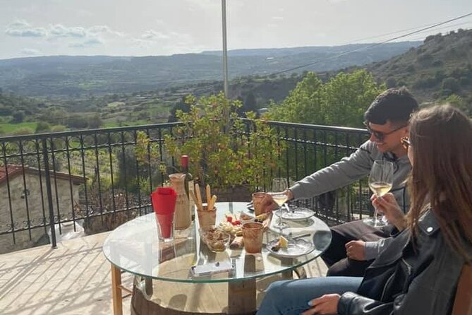 Wine Tasting and Winery Tour in Lemona Village, Paphos - Family hospitality and the old barrels