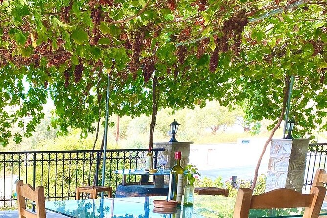 Wine Tasting and Winery Tour in Lemona Village, Paphos - Who should book this Lemona winery visit?