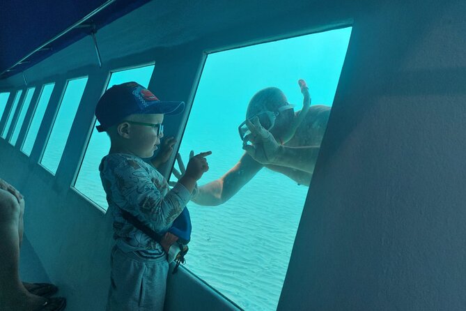Zorky Yellow Semi Submarine and Zenobia Wreck 2 hours Shared Tour - Seeing the Zenobia wreck through the lower windows